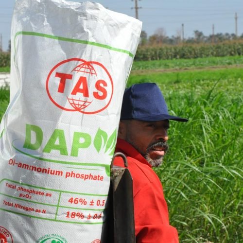 Di-ammonium Phosphate (DAP) Di-ammonium Phosphate (DAP)