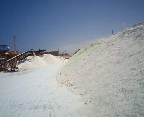 Salt_6