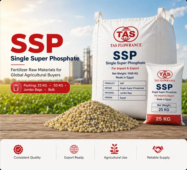 Single Super Phosphate SSP supplier Egypt for agricultural fertilizer buyers