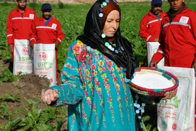 Agricultural worker holding white granular fertilizer during field application